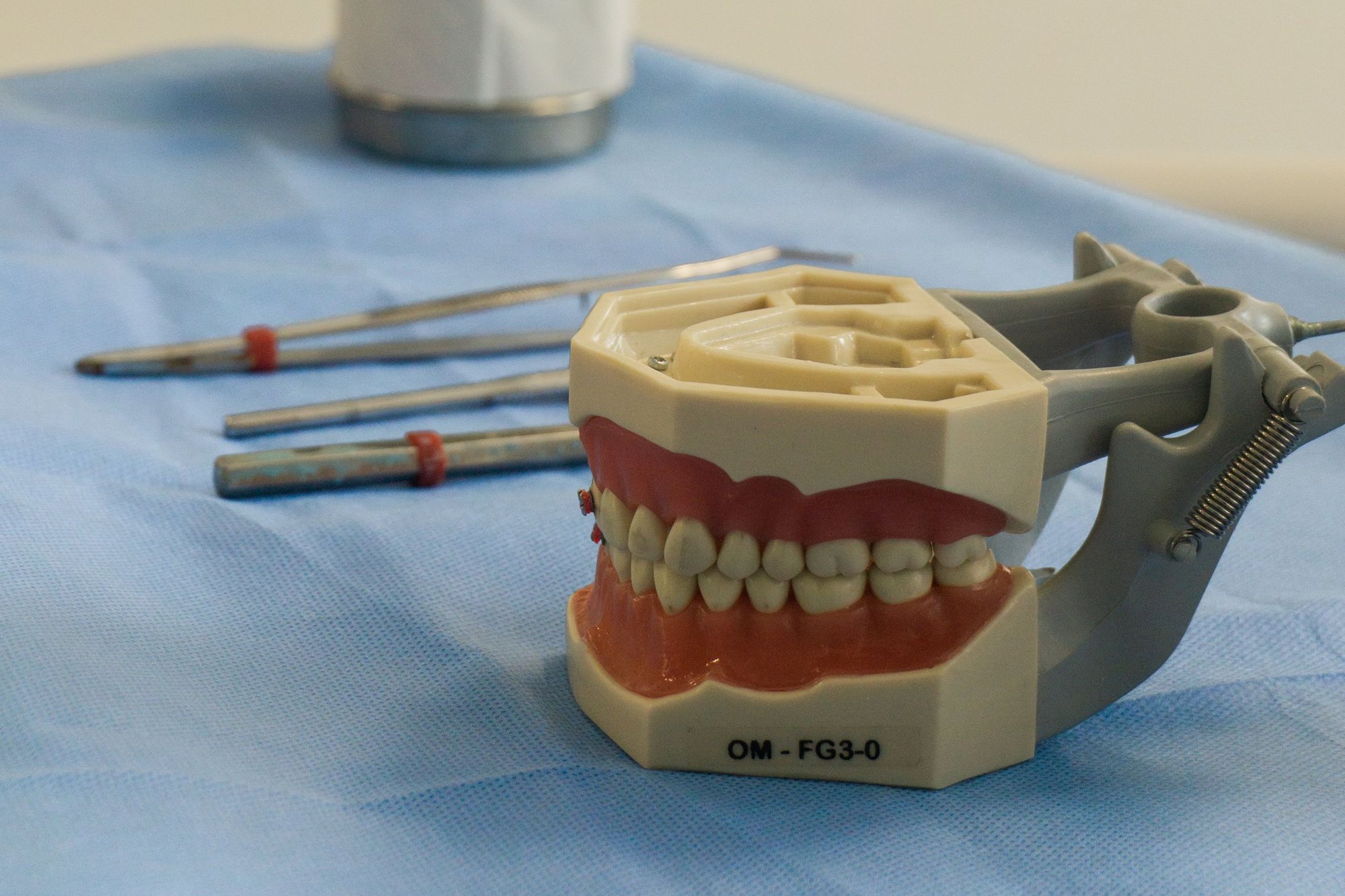 Model dentar pe articulator, cu freze stomatologice pe un câmp albastru