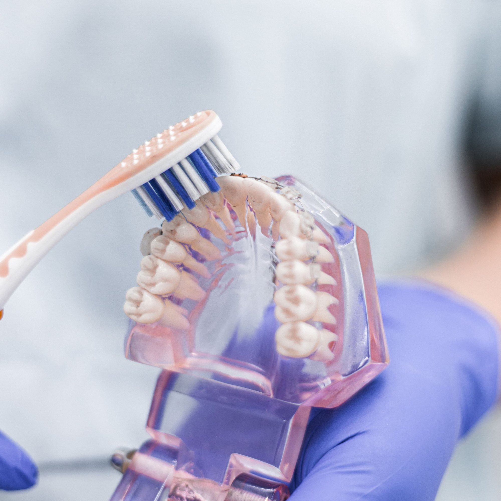 Periuță de dinți pe un model dentar transparent, ținut în mâini cu mănuși